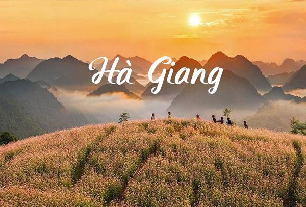 Tour du lịch Hà Nội Hà Giang 2 ngày 3 đêm