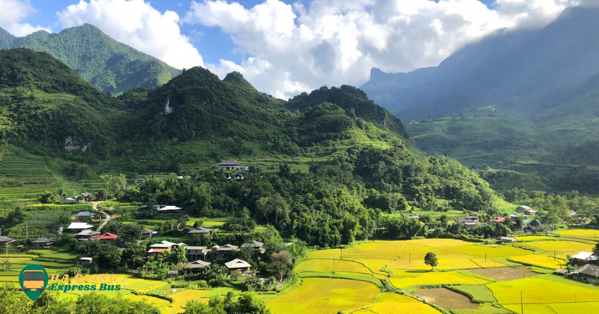 Du Gia, Ha Giang - Tranquil village nestled amidst lush greenery