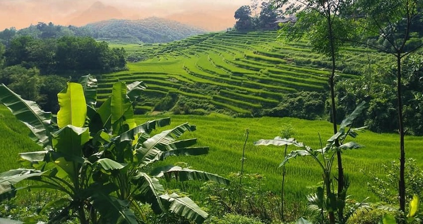 Du lịch Pù luông Thanh Hoá