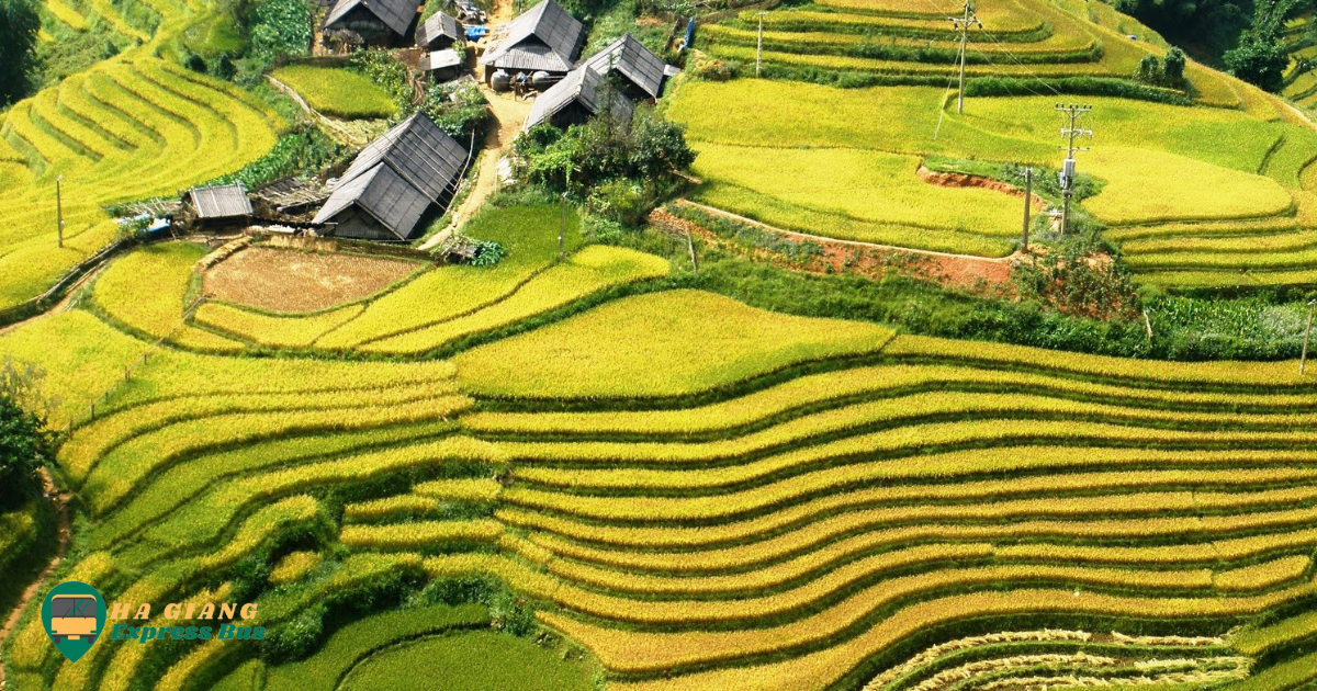 Scenic view of Lao Chai village and terraced rice fields in Sapa, Vietnam